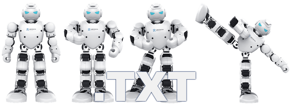 robots txt